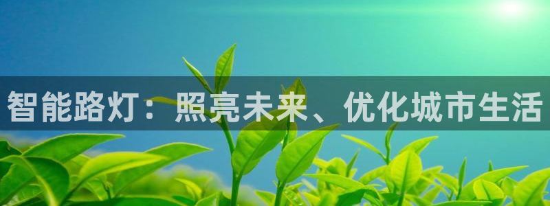 云頂國際酒店老板簡介：智能路燈：照亮未來